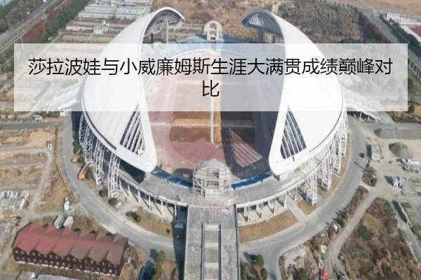 莎拉波娃与小威廉姆斯生涯大满贯成绩巅峰对比（360app）